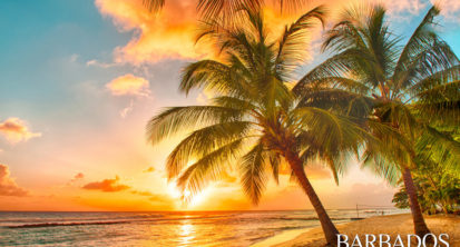 Splendido tramonto sul mare con una vista al palms sulla spiaggia bianca su un isola caraibica di Barbados